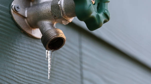 Best Leak Detection Services  in Rochester, PA